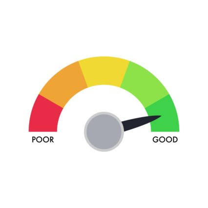Company Check - Enhanced Credit Report-Digital