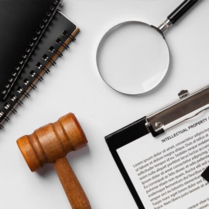 Court Record Check